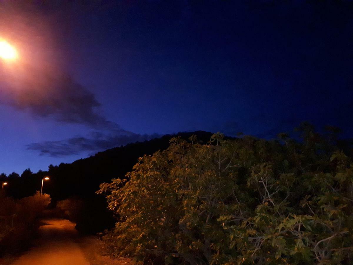 Luminaria Solis Vacation Home Rogoznica  Eksteriør billede